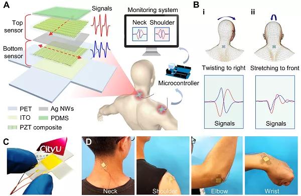 香港城大楊征保課題組Science子刊：一種新型柔性壓電陶瓷剪紙，用于預防關節疾病